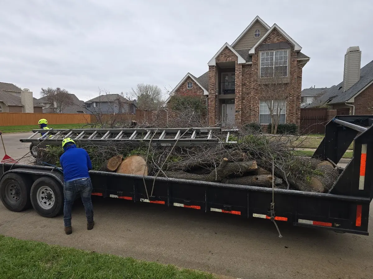 Expert Tree Fertilization with proper safety equipment in Papineau